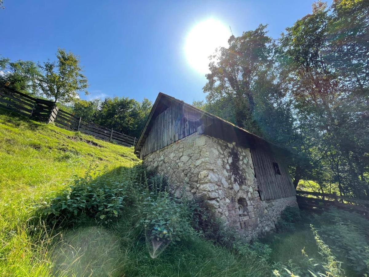 Buechlhof - App. Breitenstein Lilienfeld Exterior photo