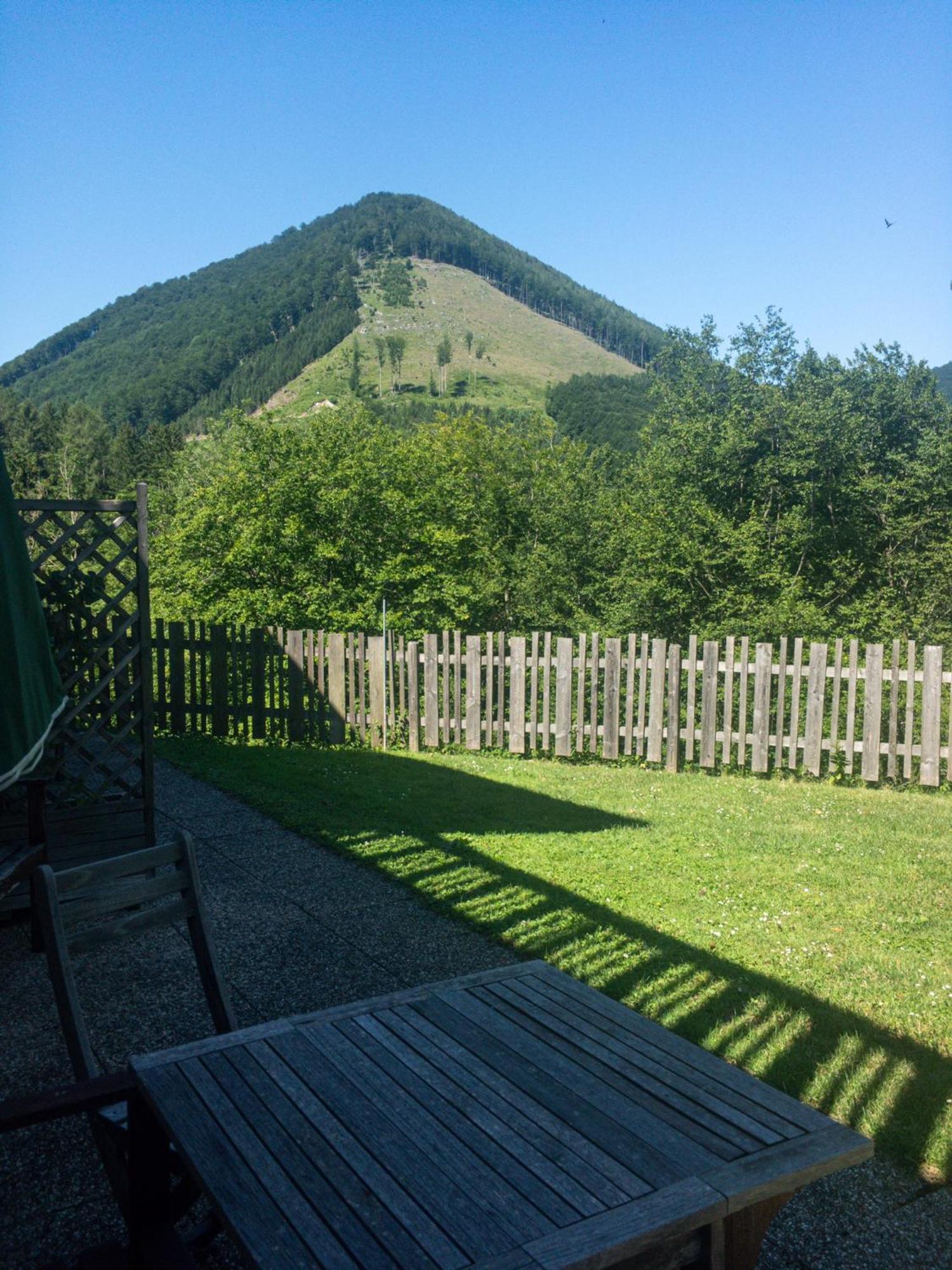 Buechlhof - App. Breitenstein Lilienfeld Exterior photo